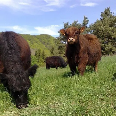 Vakantieboerderij Josefshof *