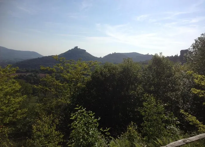 ファームステイ Josefshof Volkersweiler