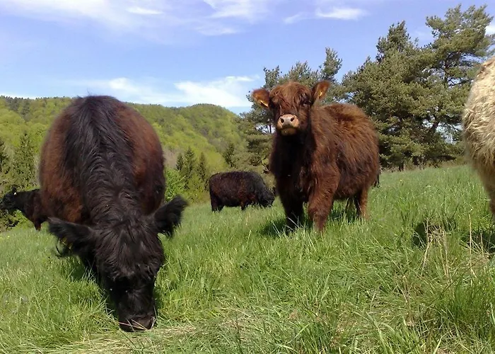 ファームステイ Josefshof *